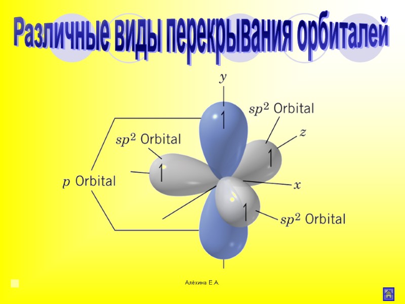Алёхина Е.А. Различные виды перекрывания орбиталей